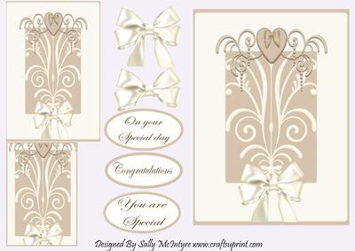 One for a Special Occasion, on Your Special Day Congratulaions You Are Special