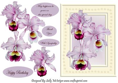 Orchids for My Mum May Happiness Be Yours on This Special Day Thank You with Sympathy Happy Birthday