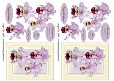 Orchids for My Mum May Happiness Be Yours on This Special Day Thank You with Sympathy Happy Birthday in Smaller Sized Card