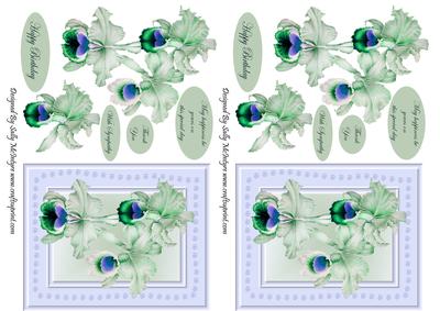 Orchids for My Mum May Happiness Be Yours on This Special Day Thank You with Sympathy Happy Birthday in Smaller Sized Cards in Green