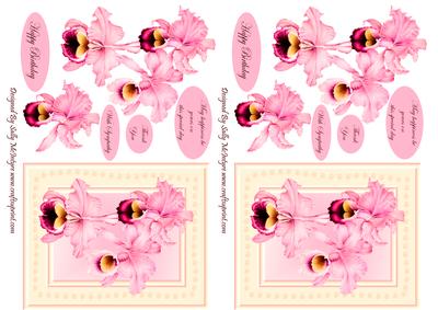 May Happiness Be Yours on This Special Day Thank You with Sympathy Happy Birthday in Smaller Sized Cards in Pink