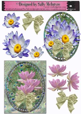 Water Lillies and Lyre Birds