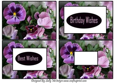 Pansies Tunnell