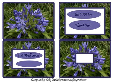 Agapnthus Best Wishes Get Well Soon Thank You and Blank for Your Own Greeting