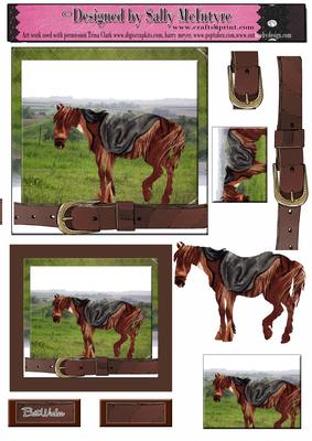 Horses Enjoy Life Best Wishes