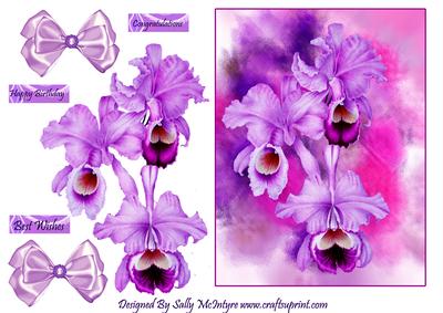 Pink Orchid
