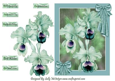 Beautiful Azure Orchids for a Special Friend
