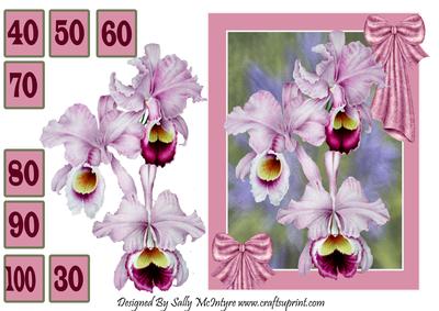 Orchids for a Special Lady 30-100