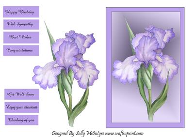 Iris Happy Birthday , Congratulations, with Sympathy,best Wishes,thinking of You , Enjoy Your Retirement,get Well Soon