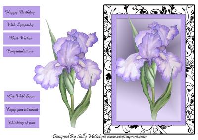 Black and White Framed Iris Happy Birthday , Congratulations, with Sympathy,best Wishes,thinking of You , Enjoy Your Retirement,get Well Soon