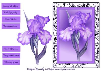 Black and White Framed Iris Happy Birthday , Congratulations, with Sympathy,best Wishes,thinking of You , Enjoy Your Retirement,get Well Soon
