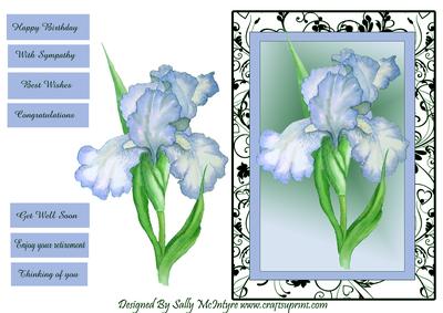 Blue Iris Happy Birthday , Congratulations, with Sympathy,best Wishes,thinking of You , Enjoy Your Retirement,get Well Soon