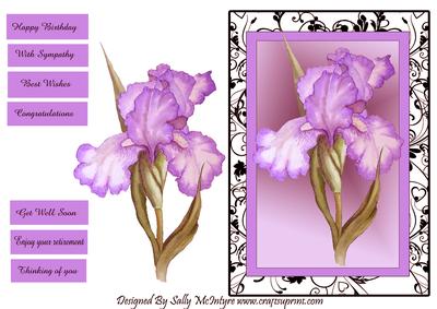 Pink Iris Happy Birthday , Congratulations, with Sympathy,best Wishes,thinking of You , Enjoy Your Retirement,get Well Soon