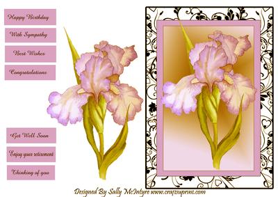 Yellow Iris Happy Birthday , Congratulations, with Sympathy,best Wishes,thinking of You , Enjoy Your Retirement,get Well Soon