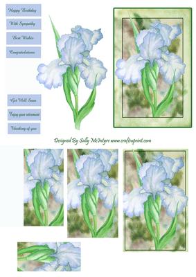 Iris Multi Greetings Pyramid and Step by Step Green