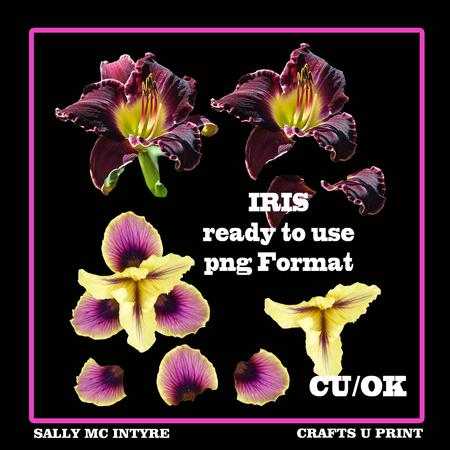 Iris 2 Colours 3D Ready to Use Cu/ok