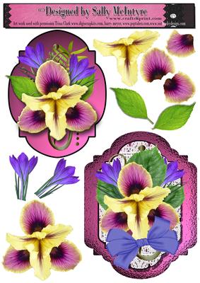 Iris and Lace 2 Card Sheet 3D for a Special Lady