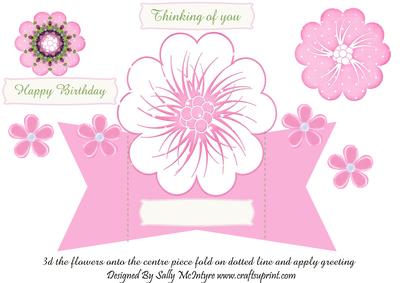 Quick Card 3D Flowers on Centre and Fold Wings to Stand