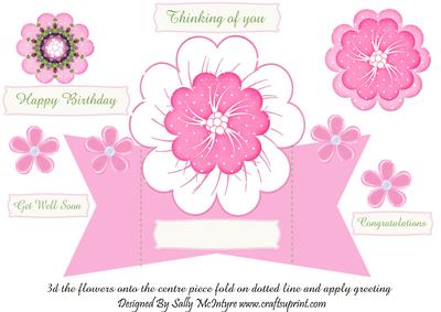 Quick Card 3D Flowers on Centre and Fold Wings to Stand Congratulations Get Well Soon Happy Birthday Thinking of You New Design