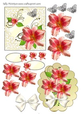 Lilium in Orange All Occasions Card