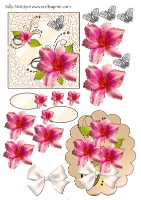 Lilium in Pink All Occasions Card