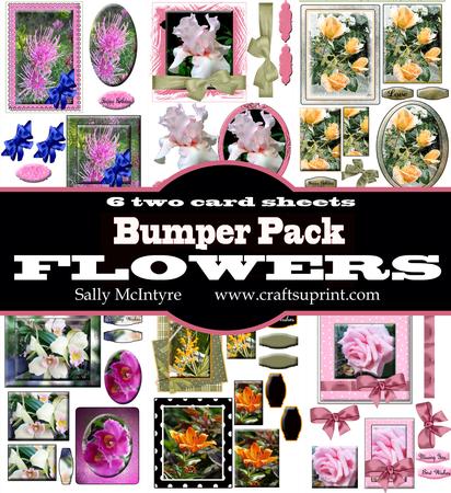Bumper Floral Kit 6 Two Card Sheets