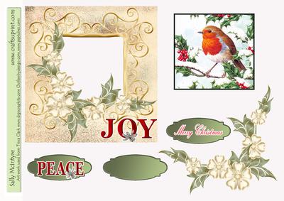 Robin at Christmas