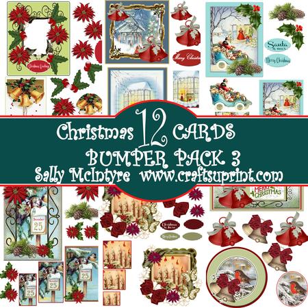 Bumper Kit No 3 Christmas 12 Cards