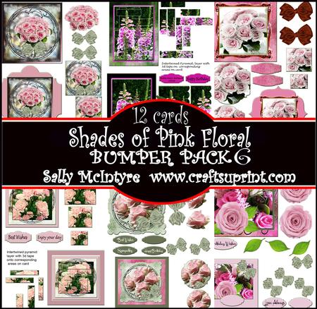 12 Cards Bumper Kit 6 Shades of Pink Floral