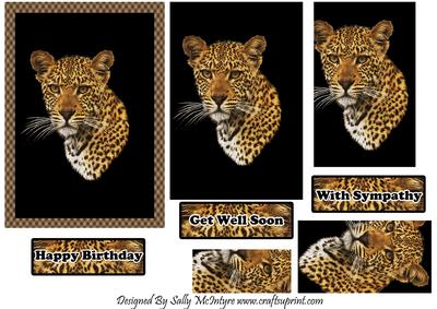 Jungle Mate Happy Birthday with Sympathy Get Well Soon
