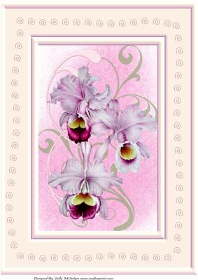 A4 Orchid Card Perfect for a Birthday Mothers Day Get Well or Thinking of You