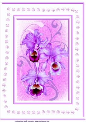 A4 Orchid Card Purples Perfect for a Birthday Mothers Day Get Well or Thinking of You