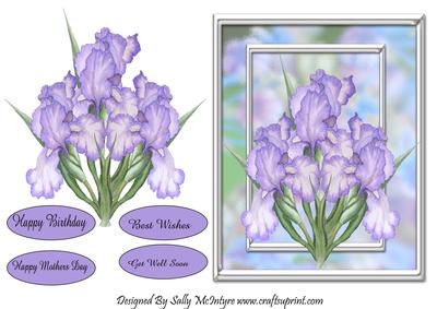 Loverly Pastel Iris Happy Birthday Get Well Soon Happy Mothers Day Best Wishes