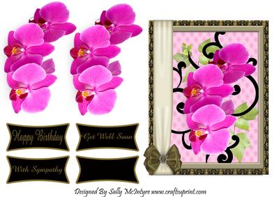 Singapore Orchids Happy Birthday Get Well Soon with Sympathy