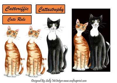 Catteriffic Cattastrophy Cats Rule
