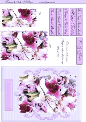 For the Lady in Your Life