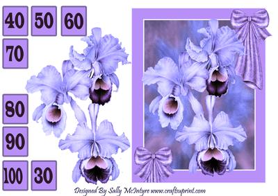 Orchids for a Special Lady 30 to 100 Purple