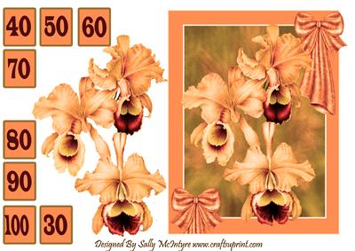 Orchids for a Special Lady 30 to 100 Apricot