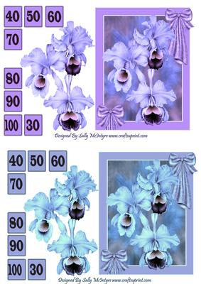 Orchids for a Special Lady 30 to 100 Apricot