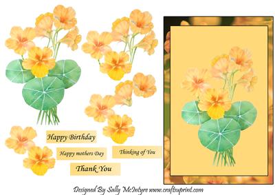 Garden Flowers with Four Asst Greetings