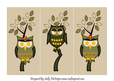Its a Birds Life Owls Tri Fold