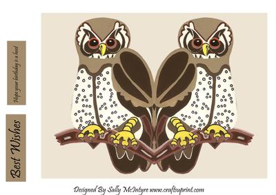 Owls Hope Your Birthday is a Hoot