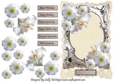 Silver Frame and Flora Multiple Greetings