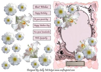 The Palest Feminine Pink with Silver Frame and Flora