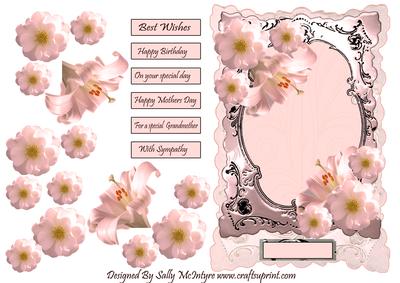 The Palest Pink with Pink Flowers with Silver Frame and Flor