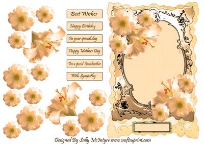 The Palest Apricot with Apricot Flowers with Silver Frame An
