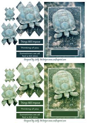 Sometimes You Just Feel a Bit Slow Tortoise