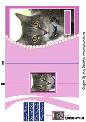 Lady of the House Puss