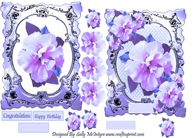 Hibiscus Beauty Purple Hues