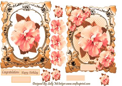 Hibiscus Beauty Apricot Hues